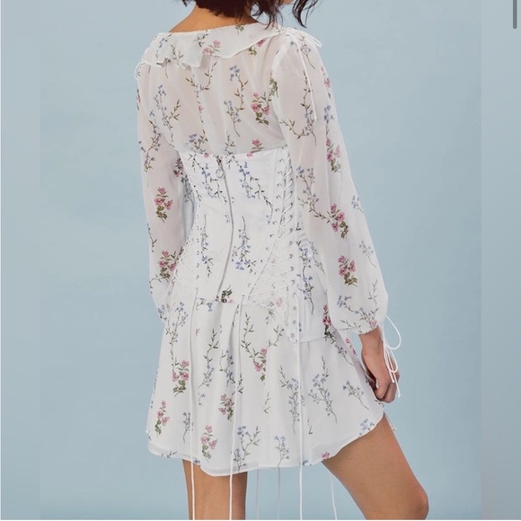 Lillie Chiffon Corset Dress - Picture 7 of 11